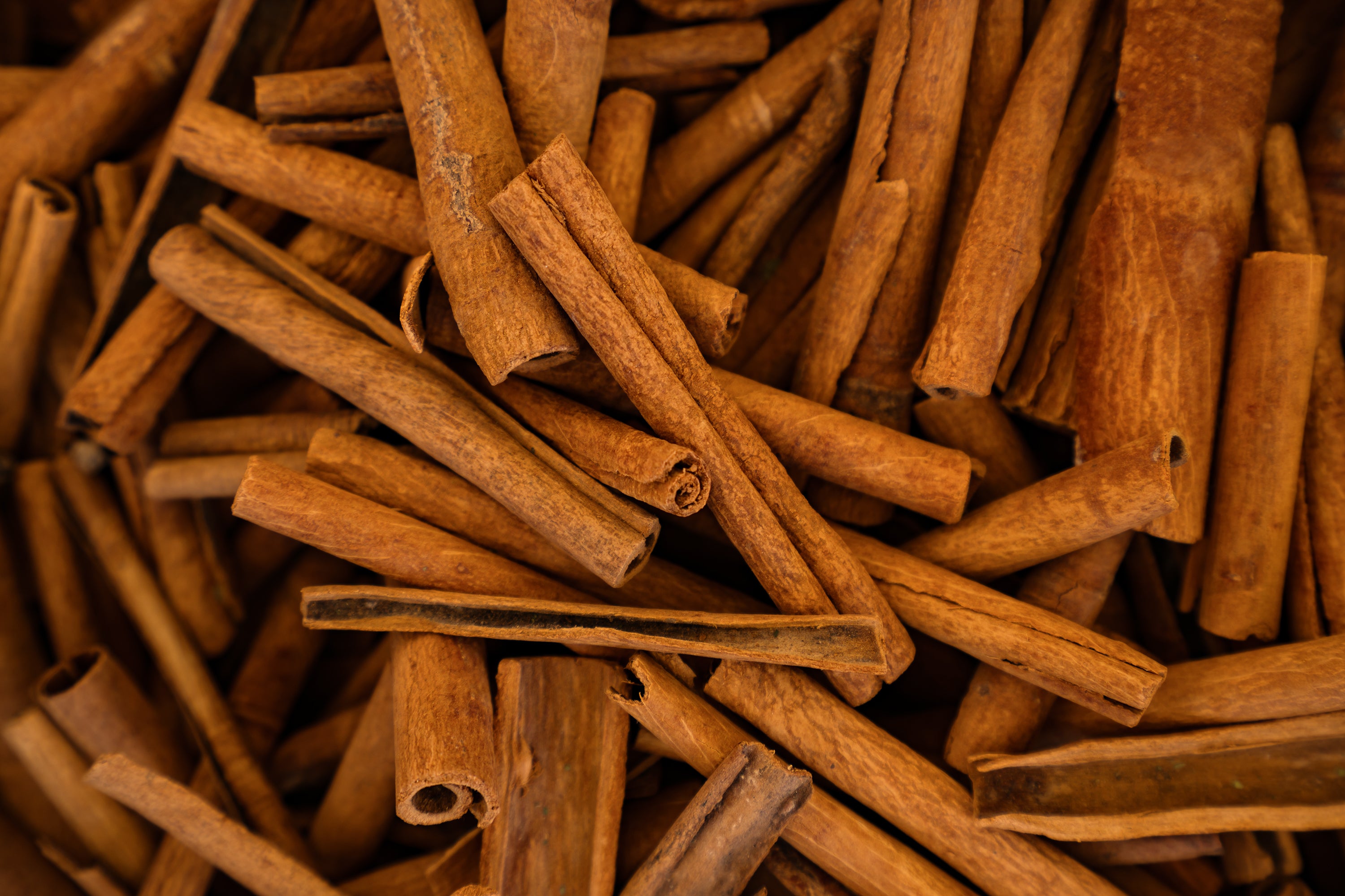 Premium Cinnamon - Sourced from the Lush Farms of Western Ghats, India